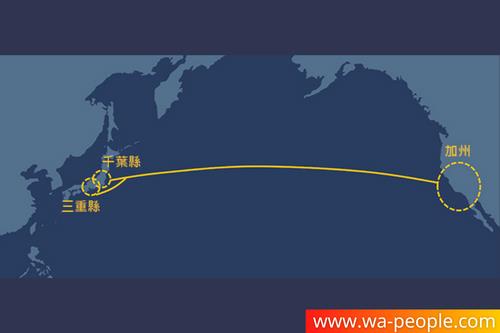 圖說:NEC將鋪設新的橫跨太平洋海底光纖電纜